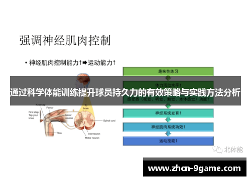 通过科学体能训练提升球员持久力的有效策略与实践方法分析